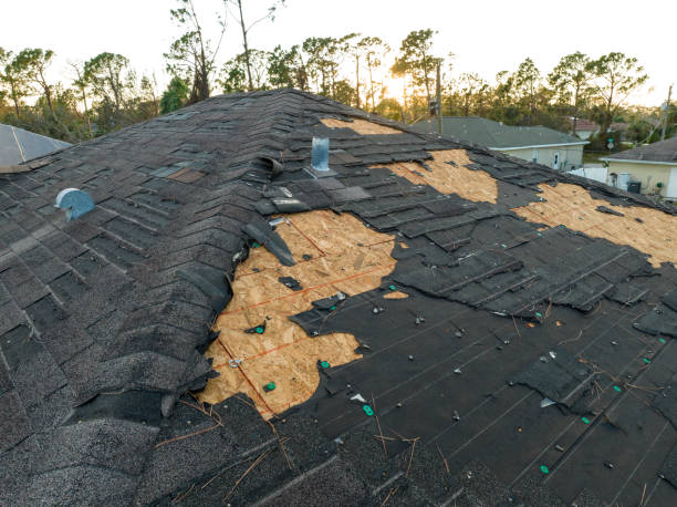 Best Metal Roofing Installation  in Franklinton, LA