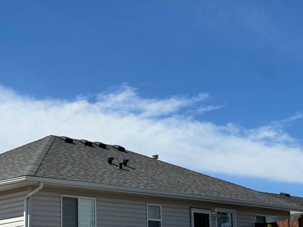 Professional Roofing service in Franklinton, LA